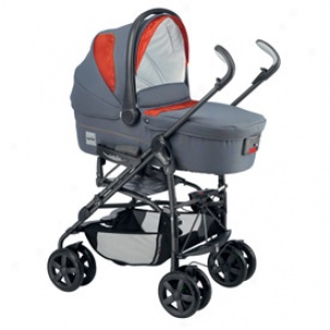 2007 Zippy Stroller Order