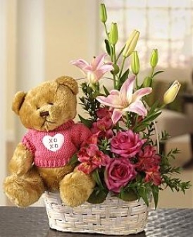 A Beary Happy Birthday