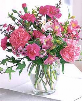 Cheerful Carnations