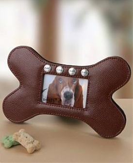 Dog's Life Bone Frame