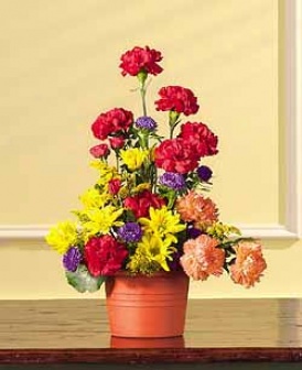 Fireworks Bouquet