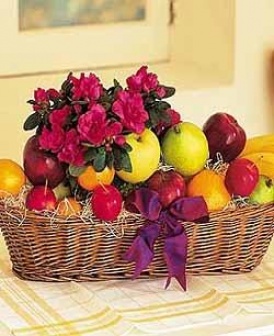 Fruit With Plant