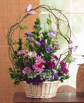 Garden Grace