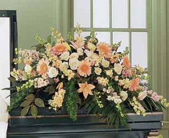 Peach Comfort Half-couch Spray