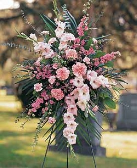 Pink Promise Spray