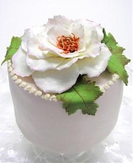 Wild Rose Cake