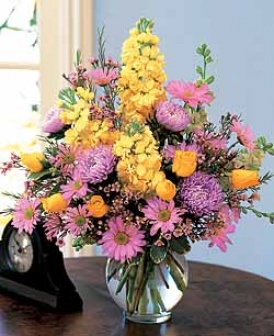 Yellow And Lavender Delight