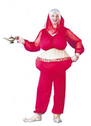 Adult Harem Scarem Costume