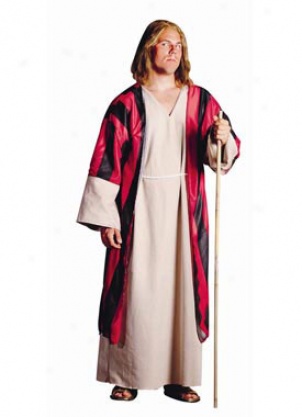 Adult Plus Size Moses Costume