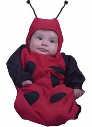 Bunting Lady Bug Costume