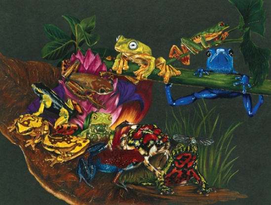 Barbara Keith Liquid Rainbow 500pc Jigsaw Puzzle