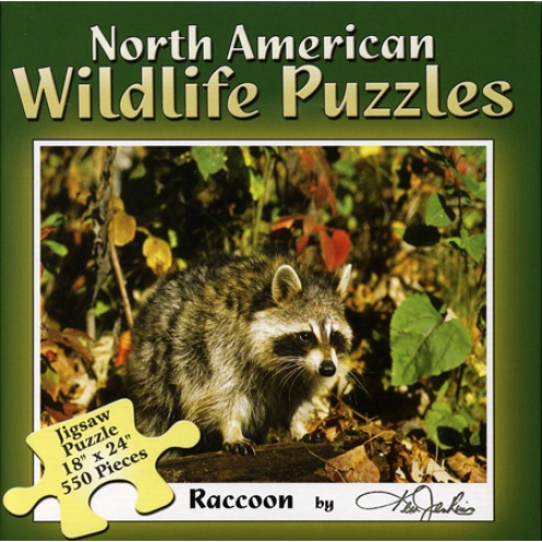 Boxed Puzzle Baby Raccoon
