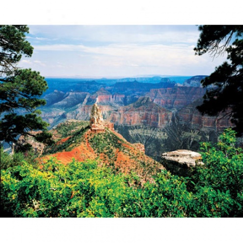 Grand Canyon North Rim Jigsaw Puzzle 500pc