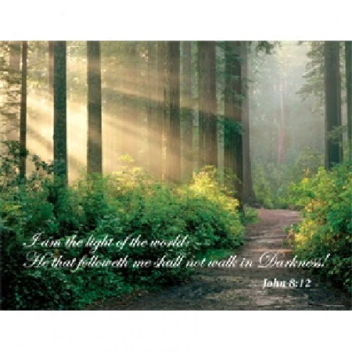 I Am The Light Jigsaw Puzzle 500pc