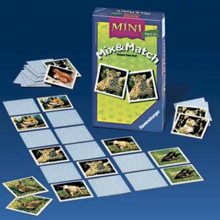 Mini Mix And Match Game