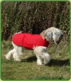 Arrowhead Dog Coat 48cm Med