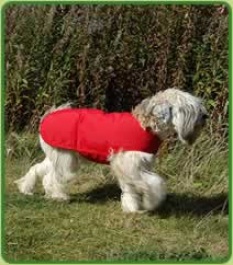 Arrowhead Dog Coat 61cm Xl
