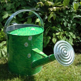 Daisy Design Watering Can