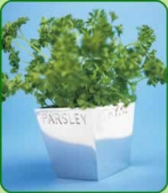 Herb Pot Gift Set