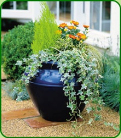 Oriental Planter