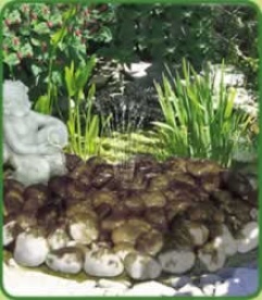 Ornamental Fonutain Pool