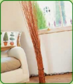 Willow Twig Bundle