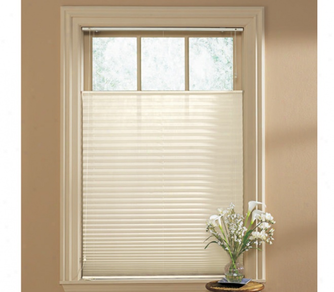 Dual Action Pleatrd Shades
