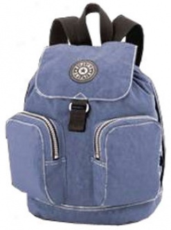 2006 Kipling Bwckpacks Honeybee Small Double Pocket Backpack #kbp2147