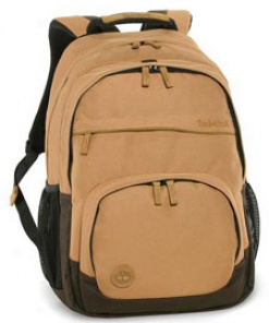 Timberland Stratham Authentics Hollis Laptop Backpack Dual Compartment #t133xxx046