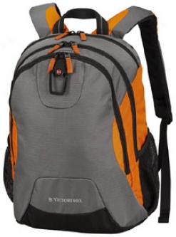 Victorinox? University Backpack Collection Canberra Dual Access Laptop Pack Canyno #trg31135