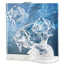 Annual Edtion Community 2007, Clear Crystal