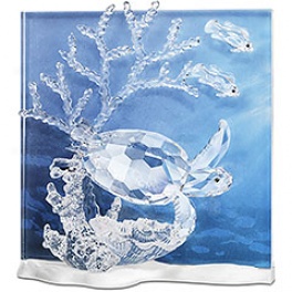 Annual Edition Eternity 2006, Clear Crystal