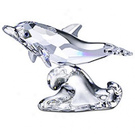 Baby Dolphin