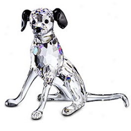 Dalmatian Mother