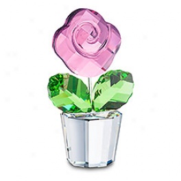 Pink Rose