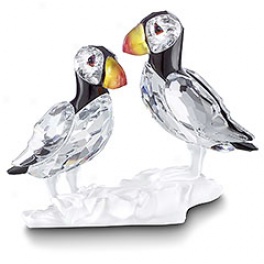 Puffins
