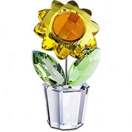 Sunflower, Large