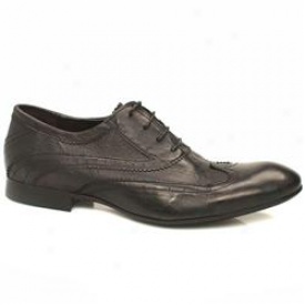 Avlock Wing Oxford