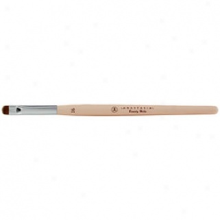 Anastasia Accent Shadow Brush #16