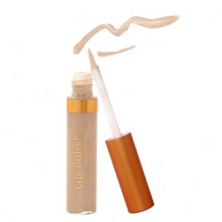 Colorescience Lip Polish: It's More than