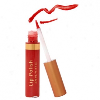 Colorescience Lip Polish: Red Brick Road