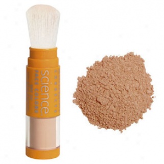 Colorescience Suncanny Foundation Brush Spf 20: In The Dark