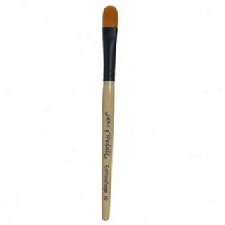 Jane Iredale Camouflage Brush