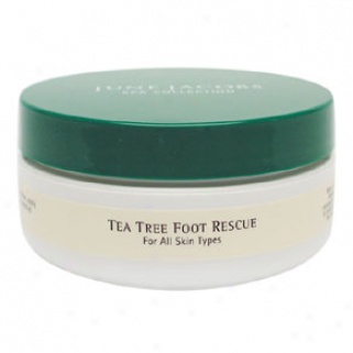 June Jacobs Green Tea Tree Foot Rescue