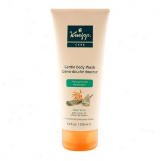 Kneipp Gentle Body Wash: Aloe Vera