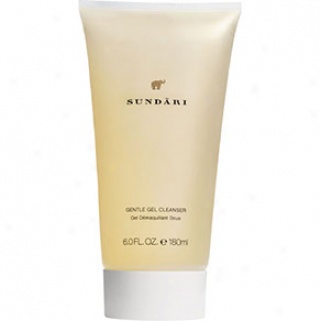 Sundari Gentle Gel Cleanser