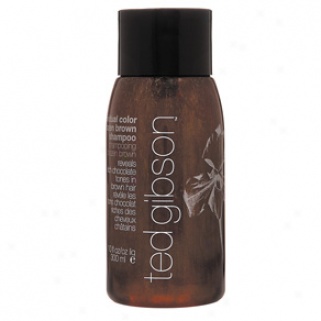 Ted Gibson Individual Color Brazen Brown Shampoo