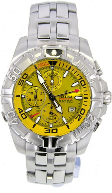 Festina F16095-8