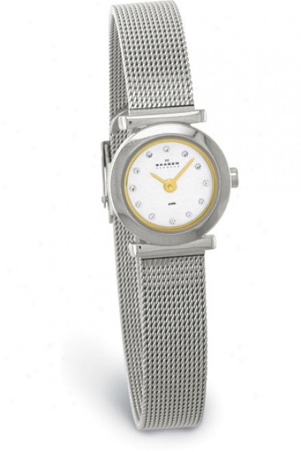 Skagen 107xsgs