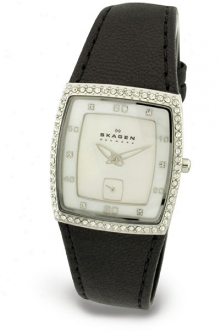 Skagen 384sslbb